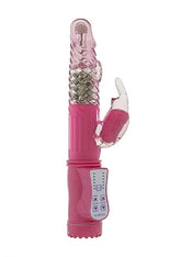 GC. Vibrating Rabbit